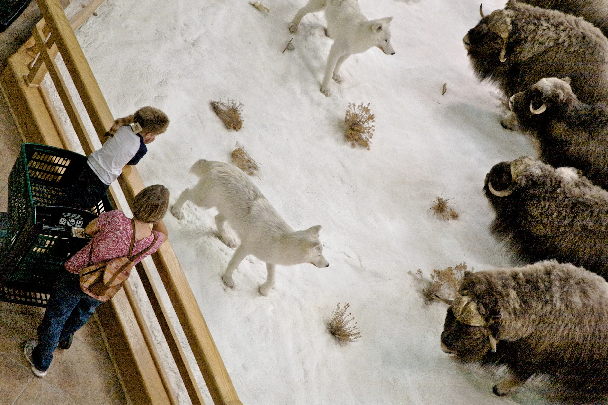 2008-10-11 at 01-01-54.jpg