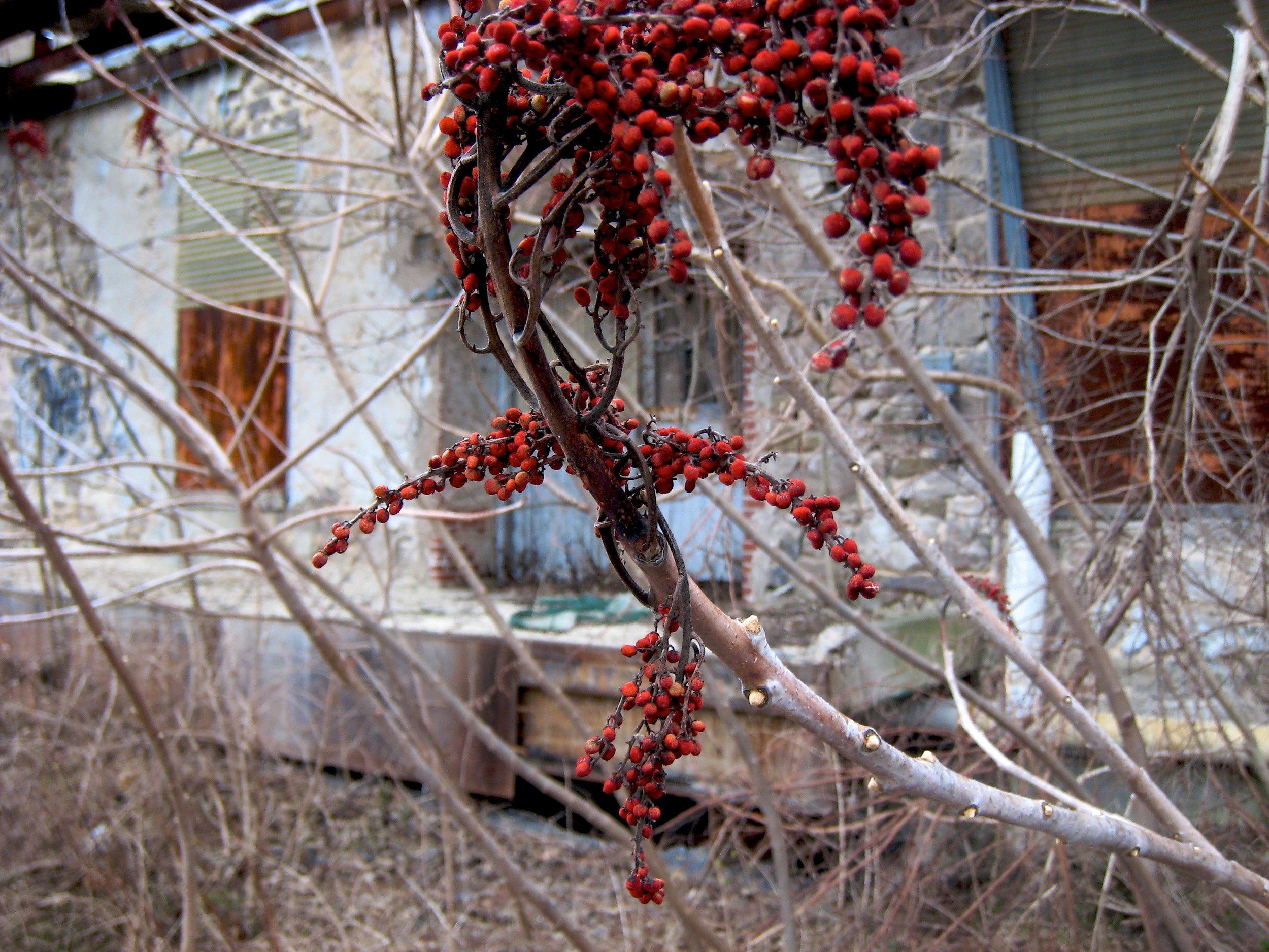 2007-01-27 at 05-06-30.jpg
