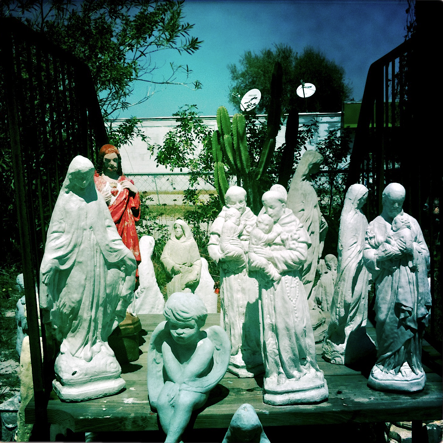 2010-03-20 at 13-11-14.jpg