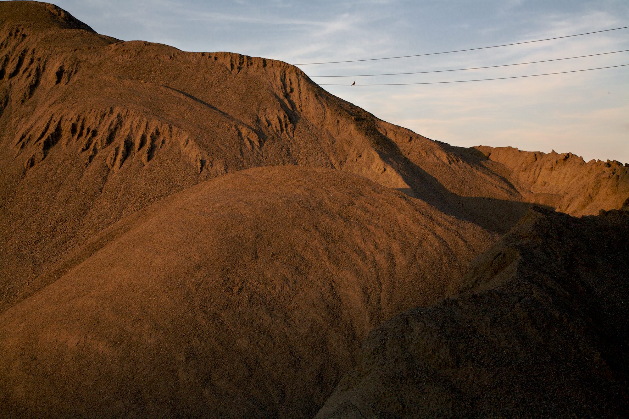 _MG_3136.jpg
