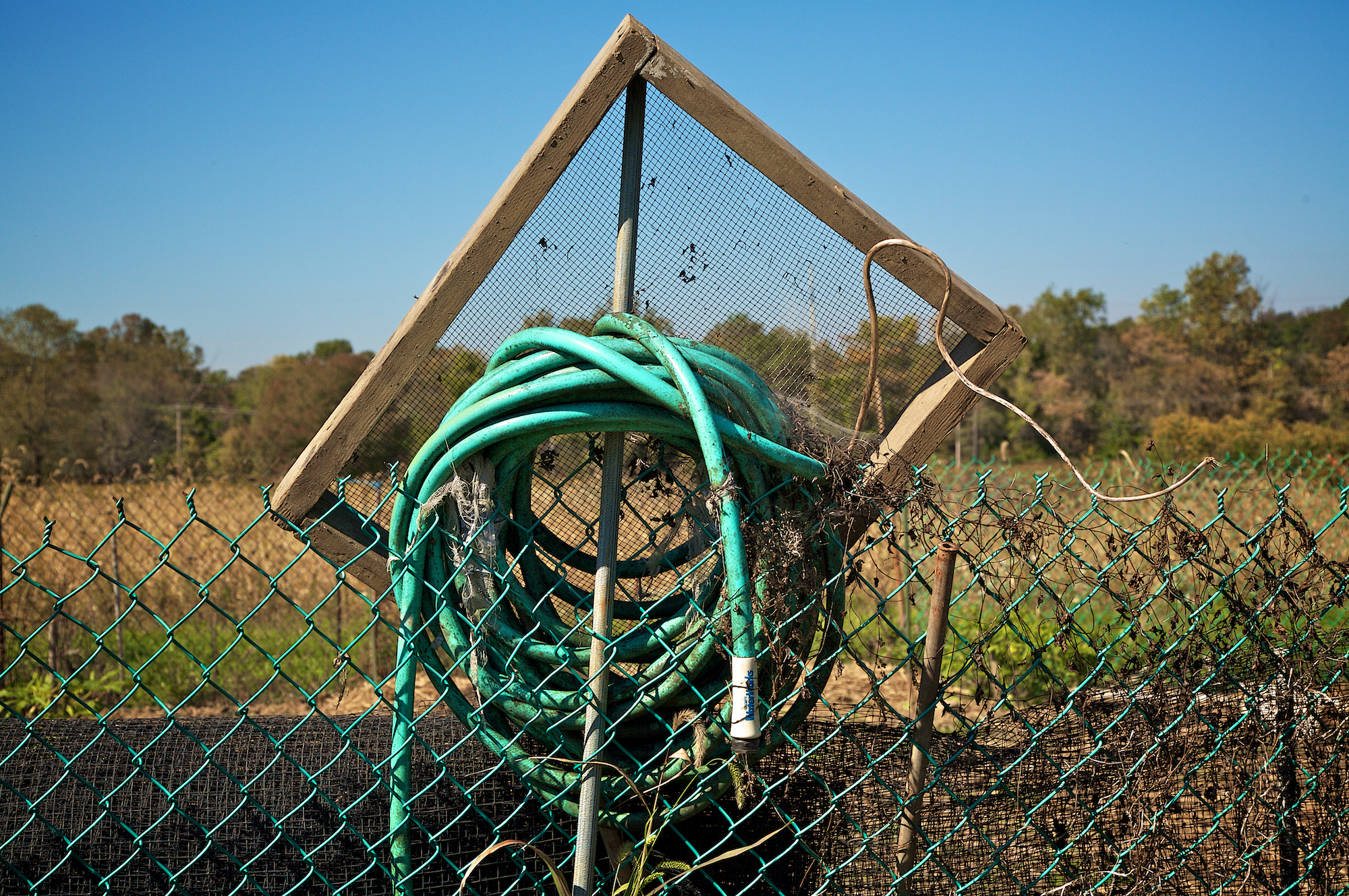 _MG_3089.jpg