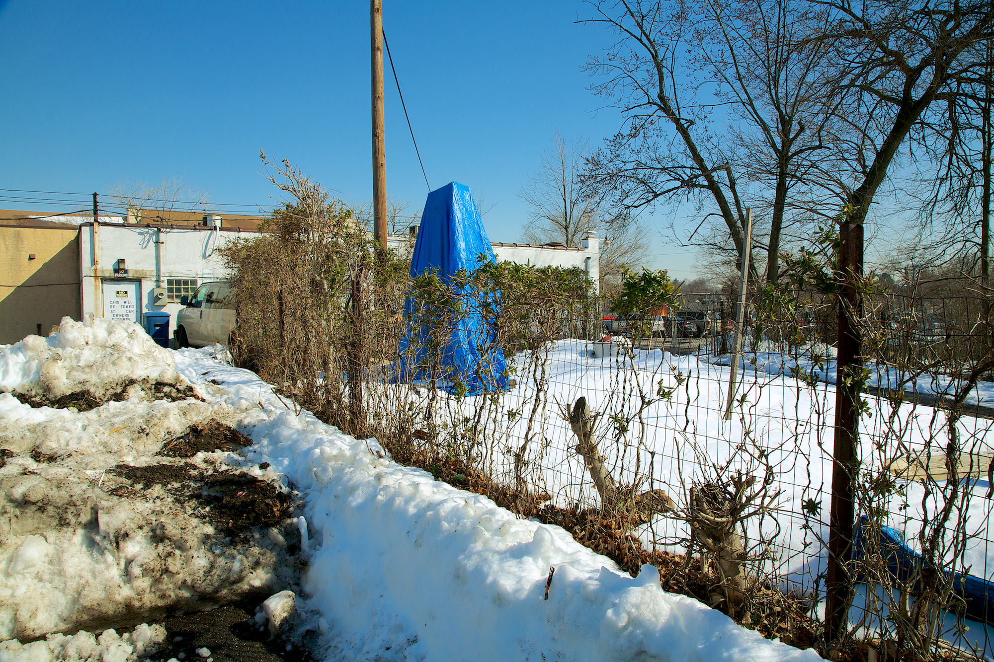_MG_2602.jpg