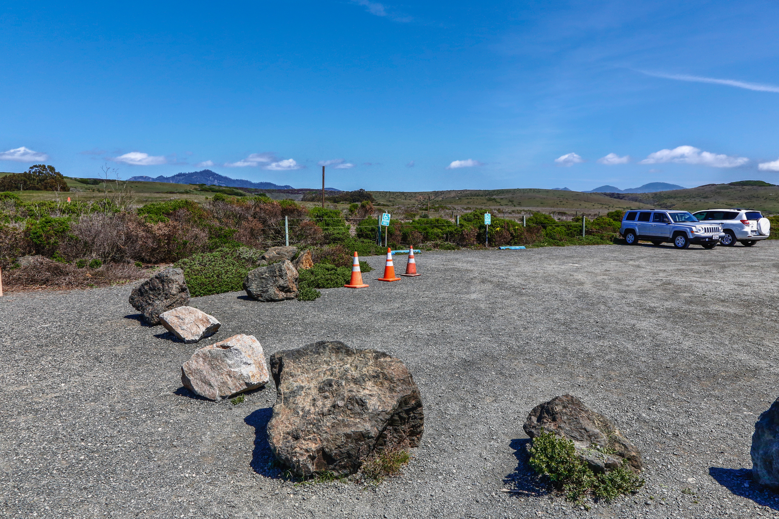 20140328-_79A3523_shore-Edit.jpg