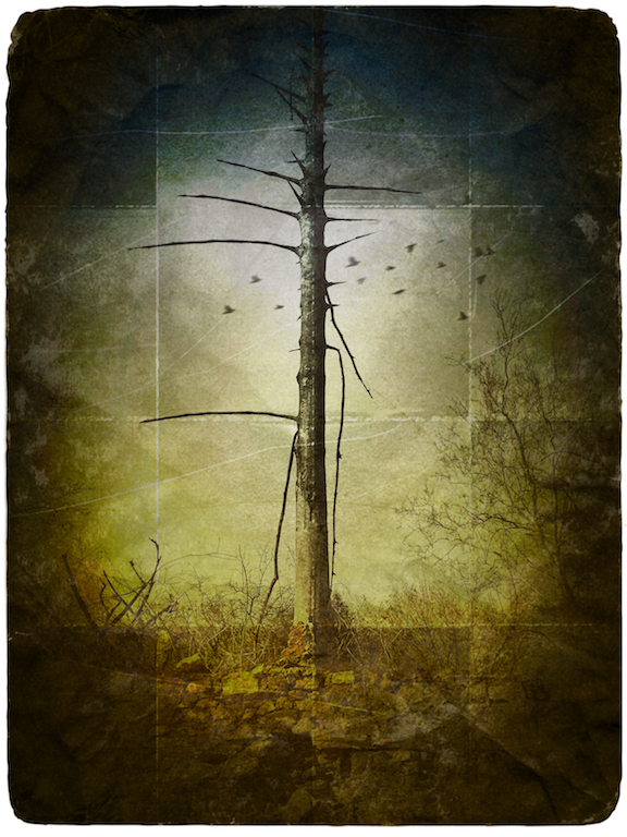 IMG_8728.png