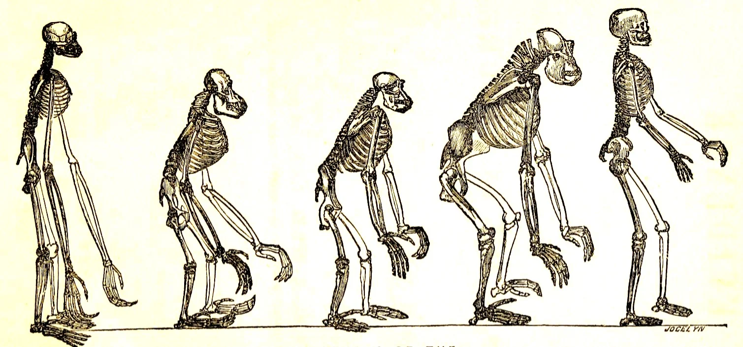 Is Evolution Socially Corrosive?