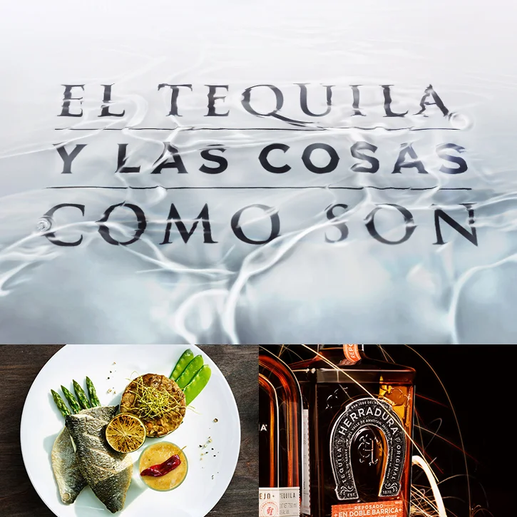 Alejandro-Torres-Desgner-Tequila-Herradura-Grid-portfolio-2.jpg