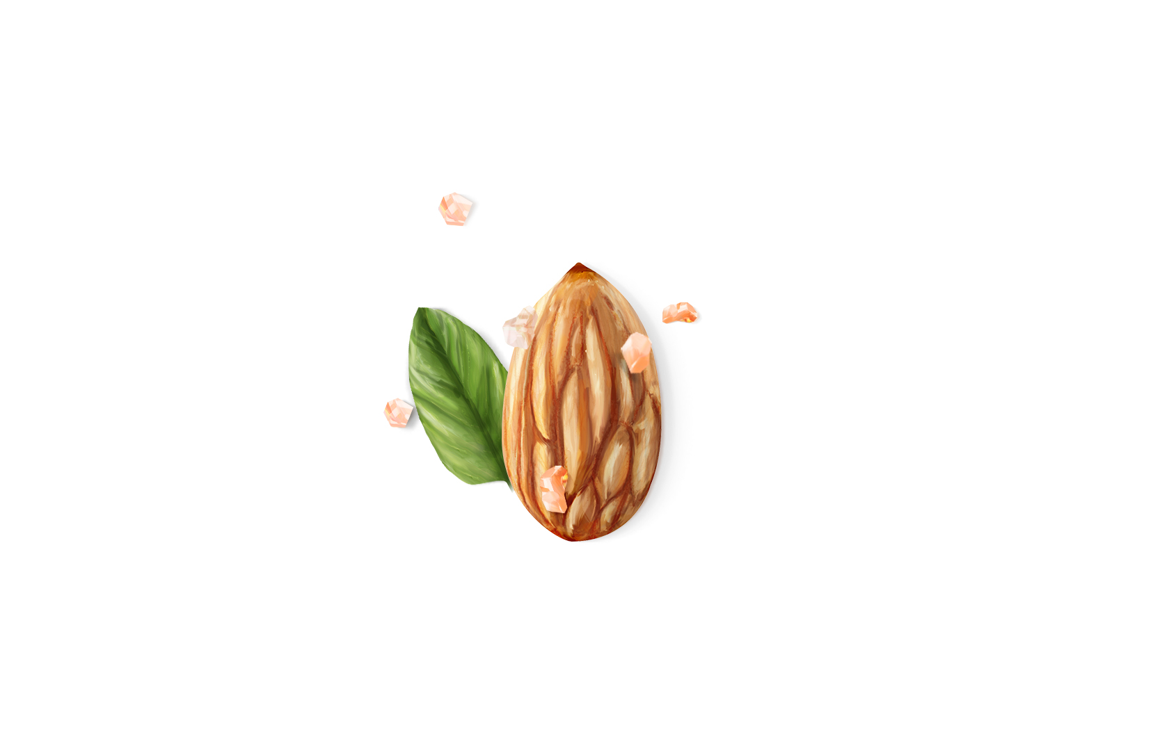 07.Salted-By-Nature-Illustration.jpg