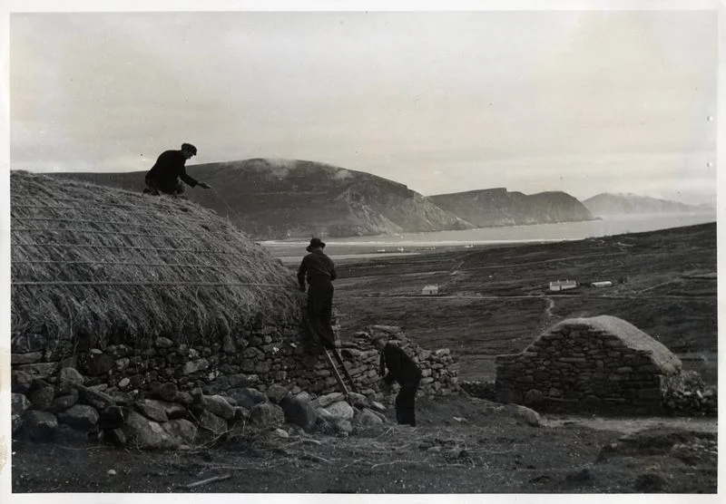 Thatching