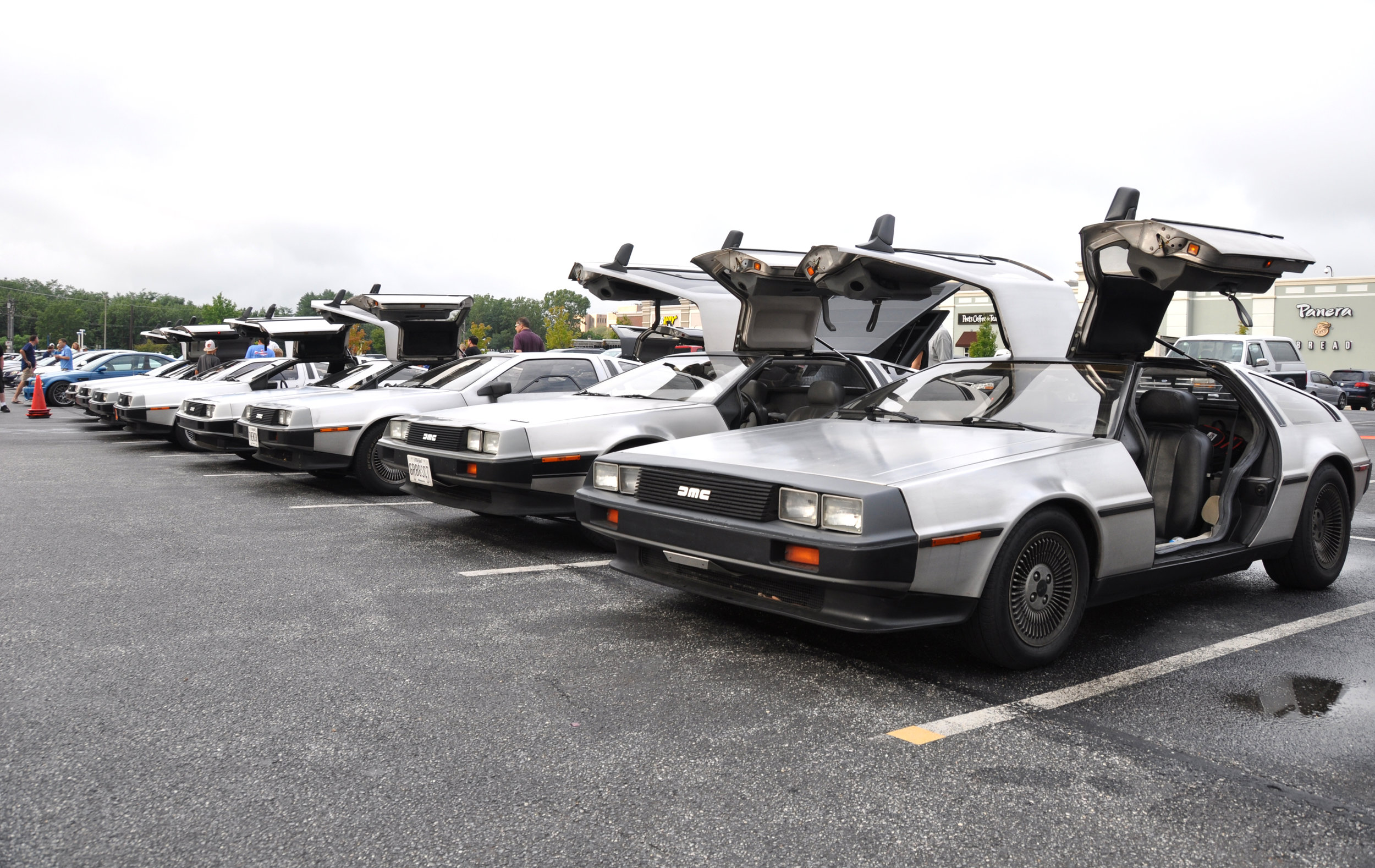 1 DeLorean Line.jpg