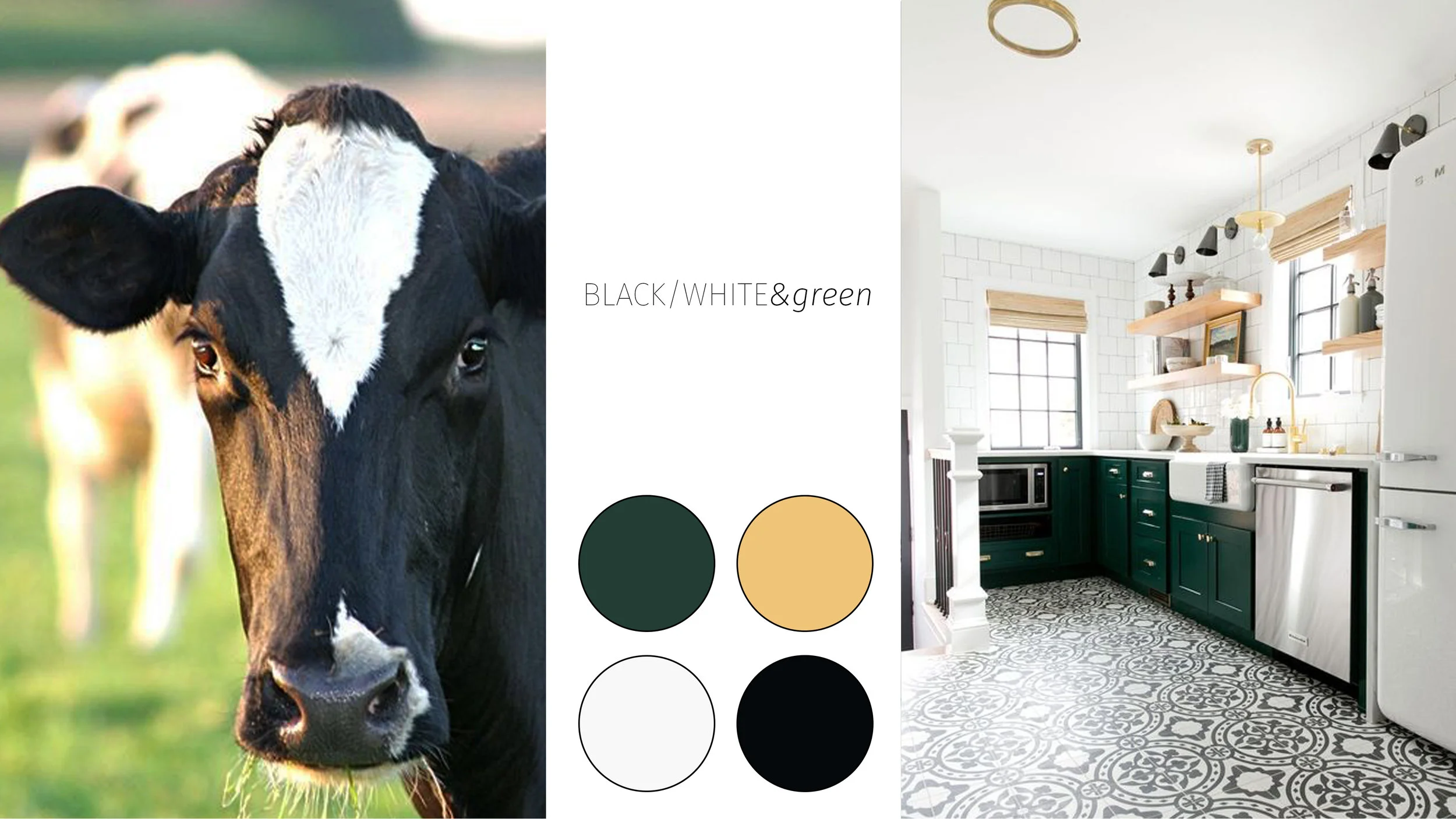 COLOR: INSPIRED BY MONTANA LANDSCAPES
