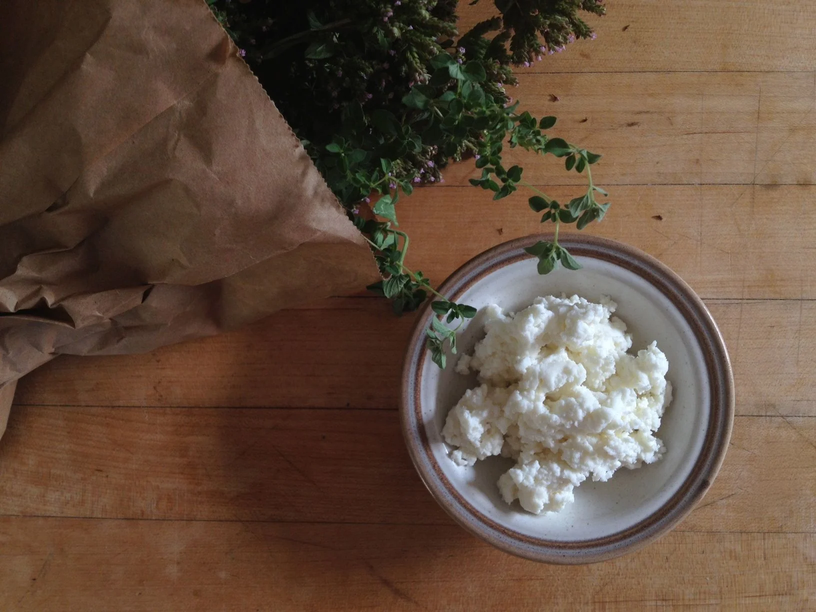 RICOTTA