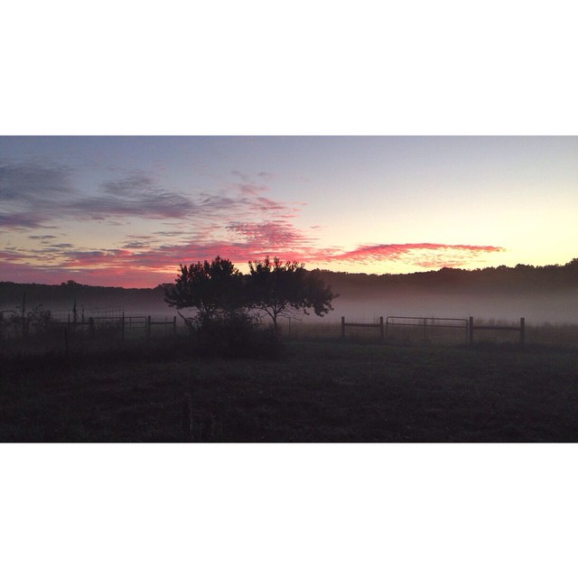 Sunrise