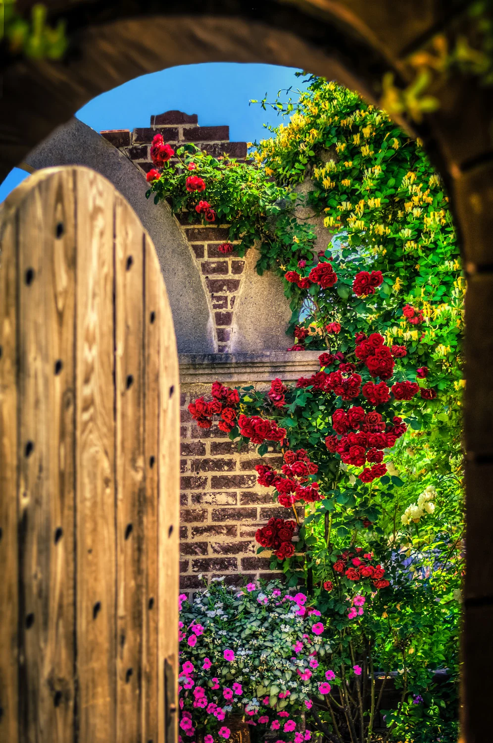 20090703-Garden Views Done (1 of 1).jpg