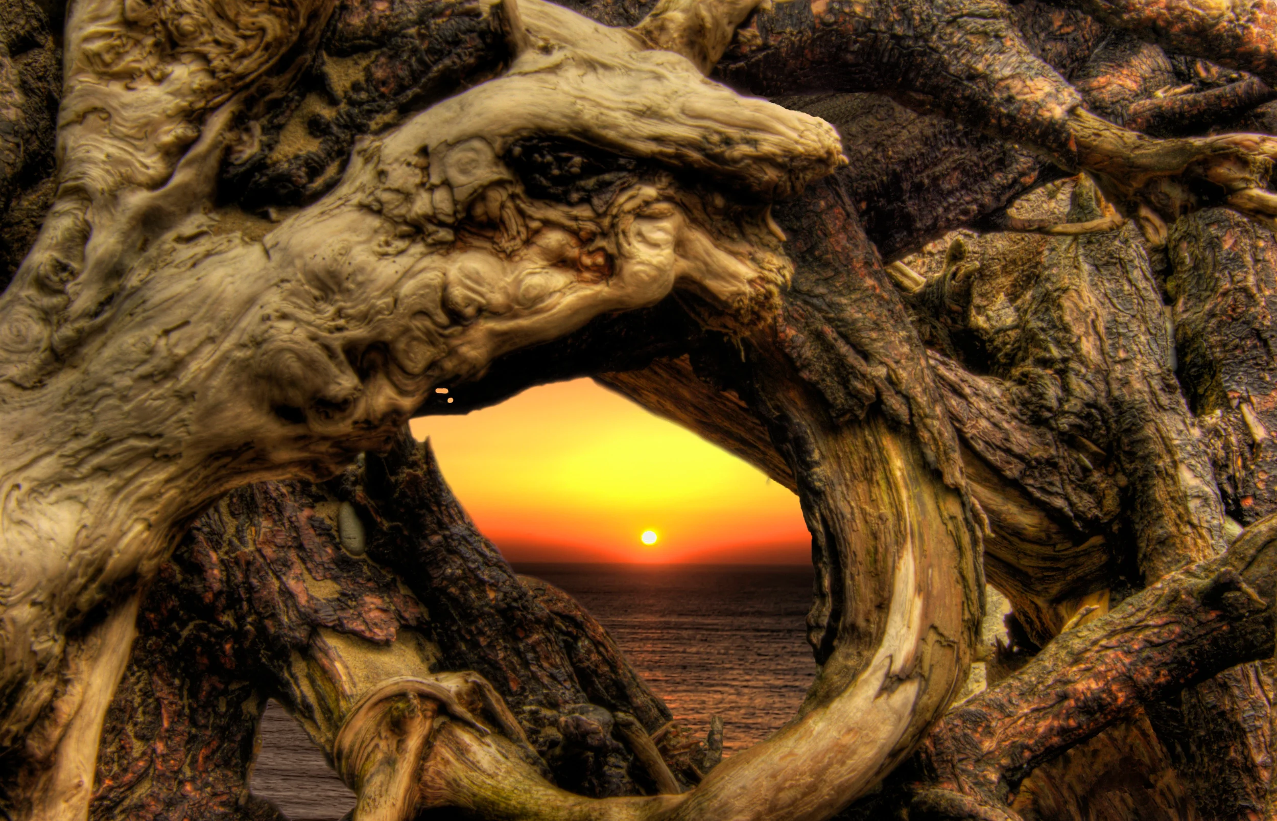 Driftwood Monster