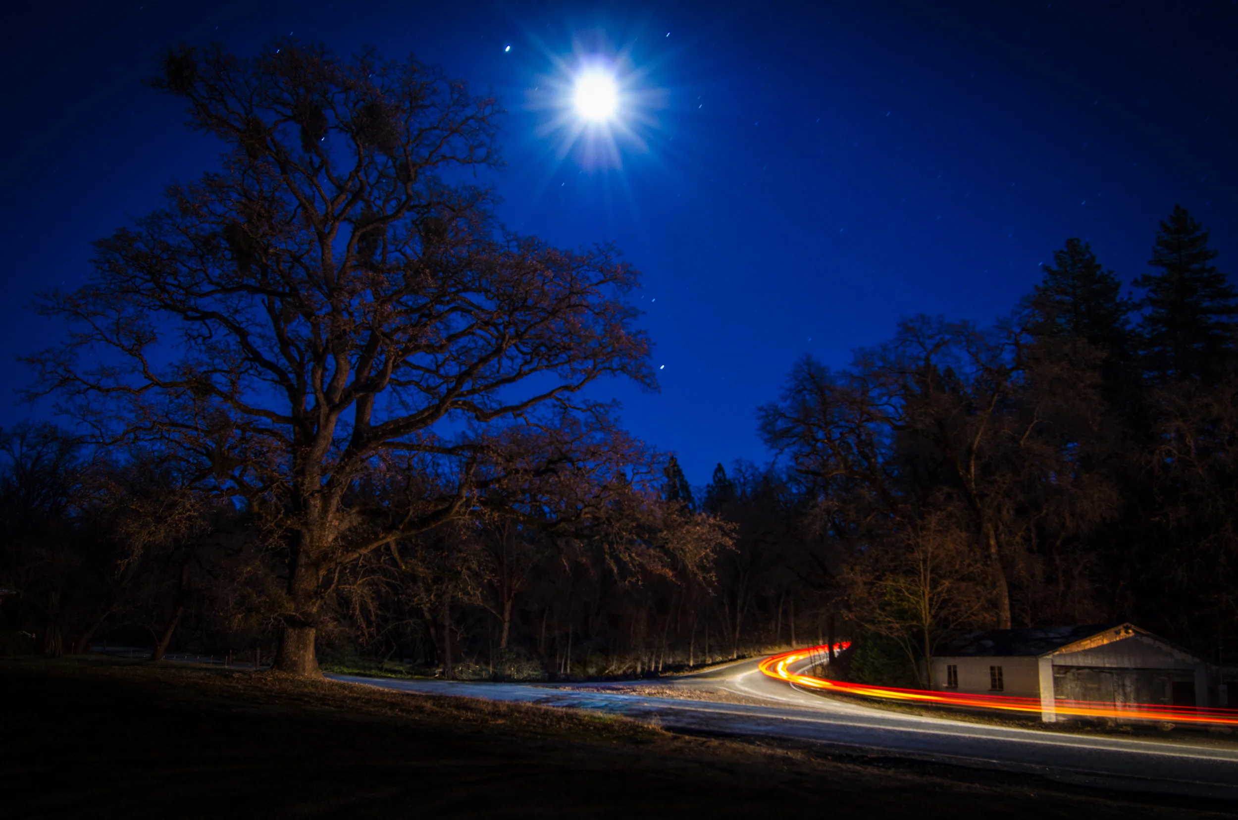 Light of the Moon