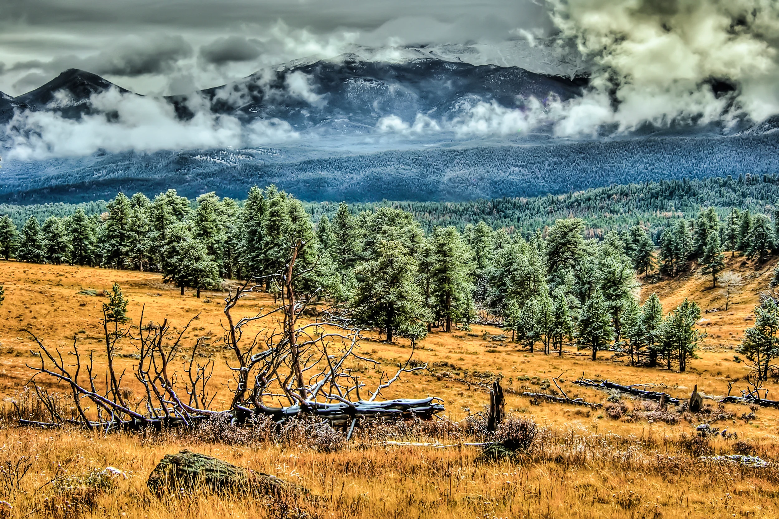 Fall in the Rockies