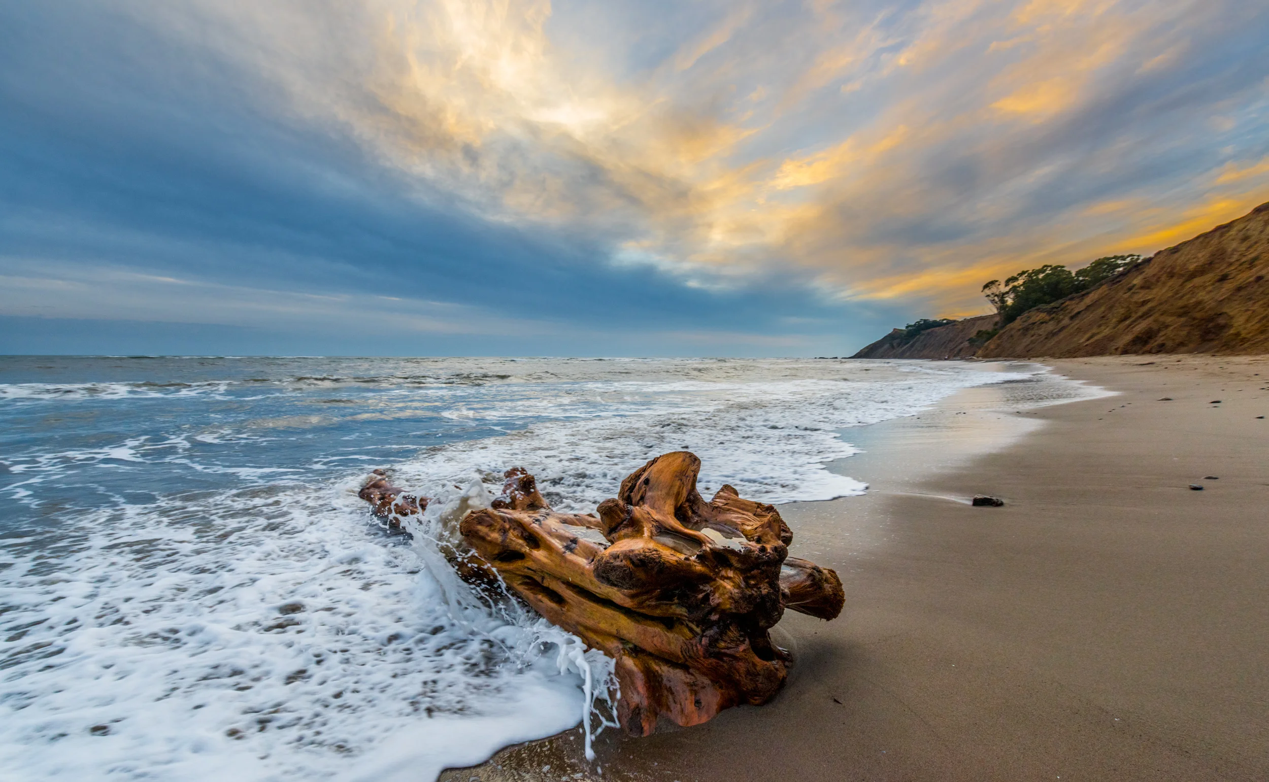 Driftwood Sunset