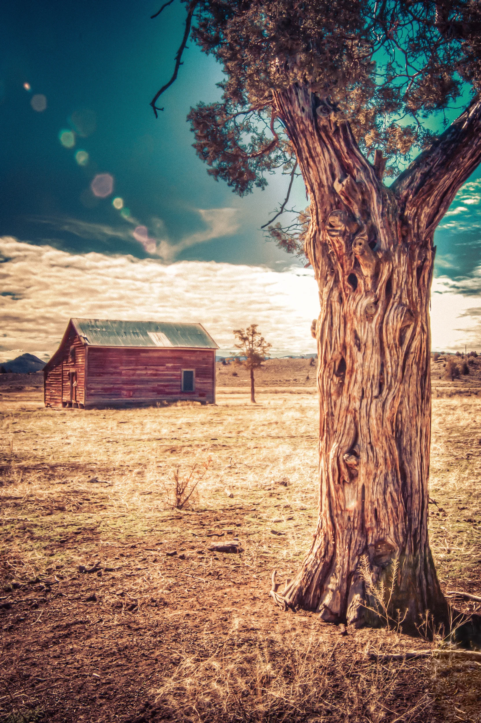 Rustic Sun