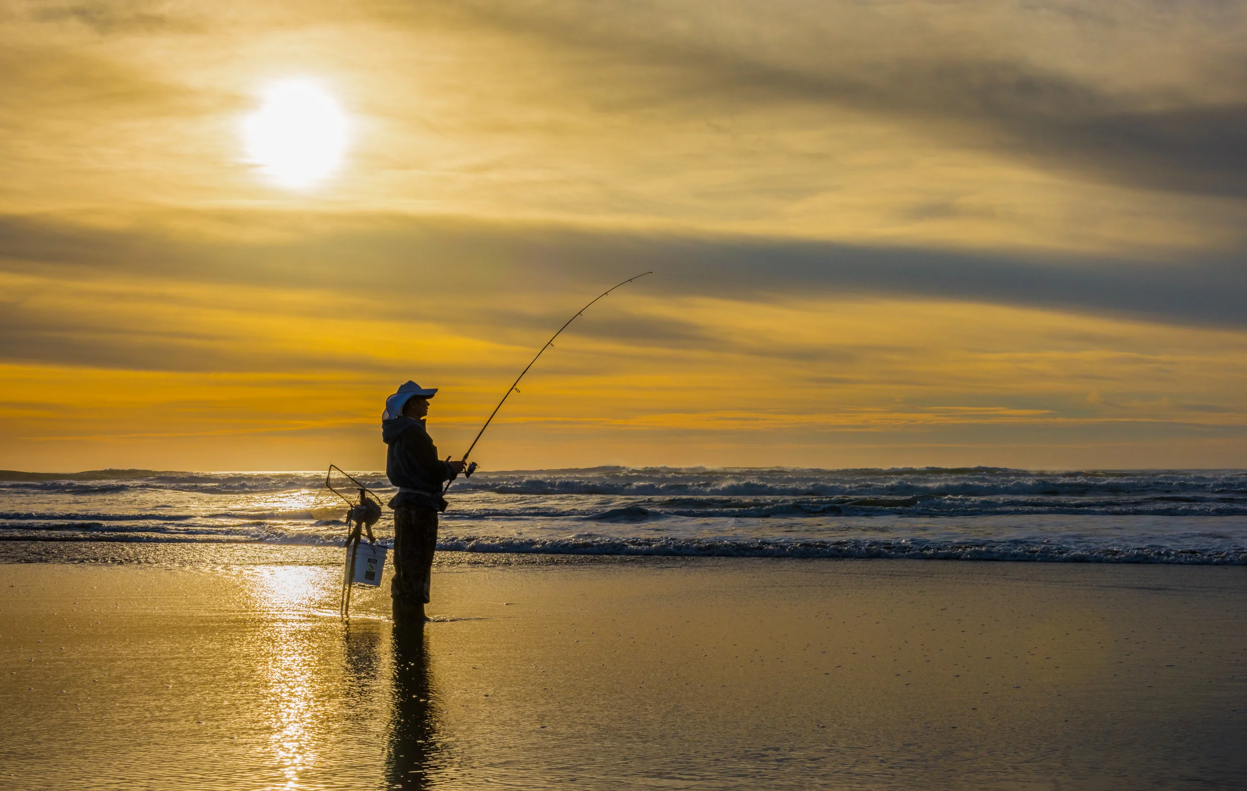 Surf Fishing