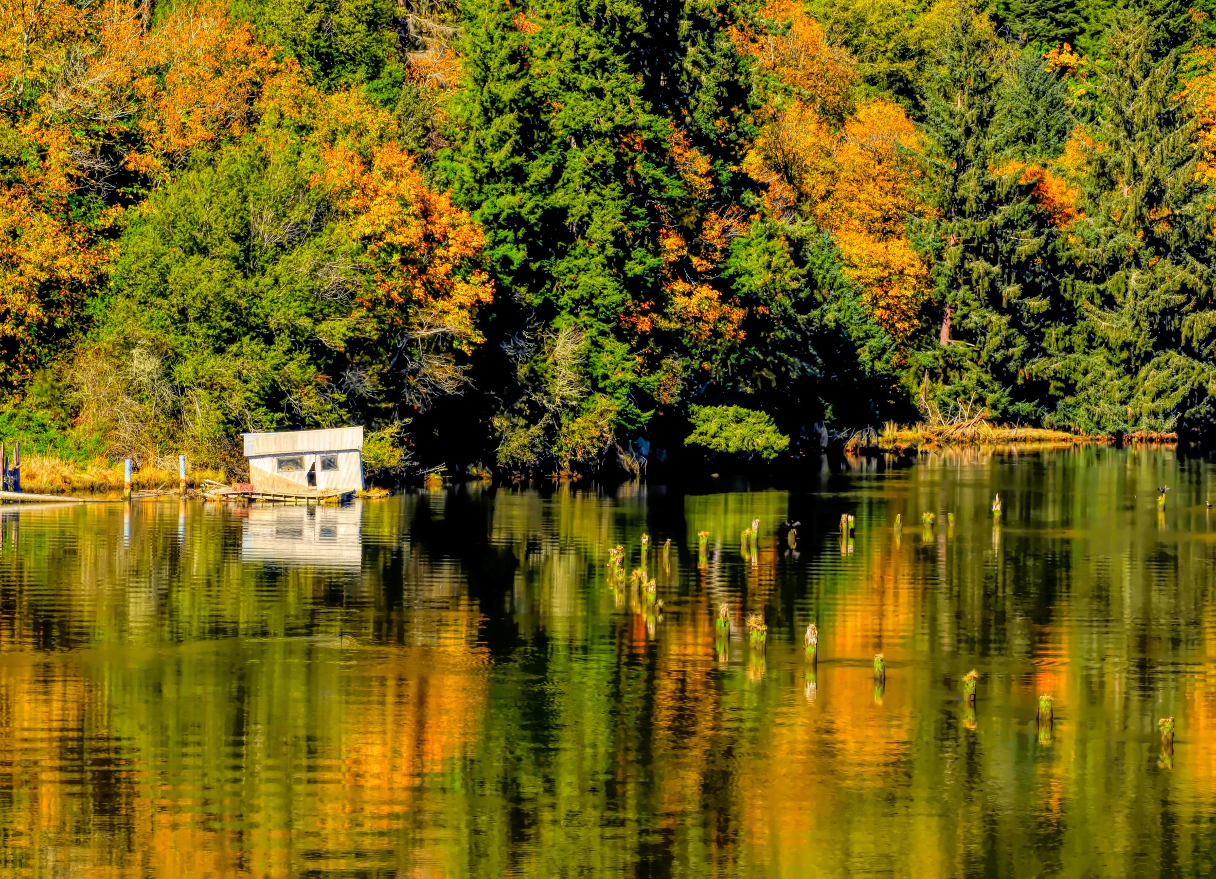 Smiling Boathouse
