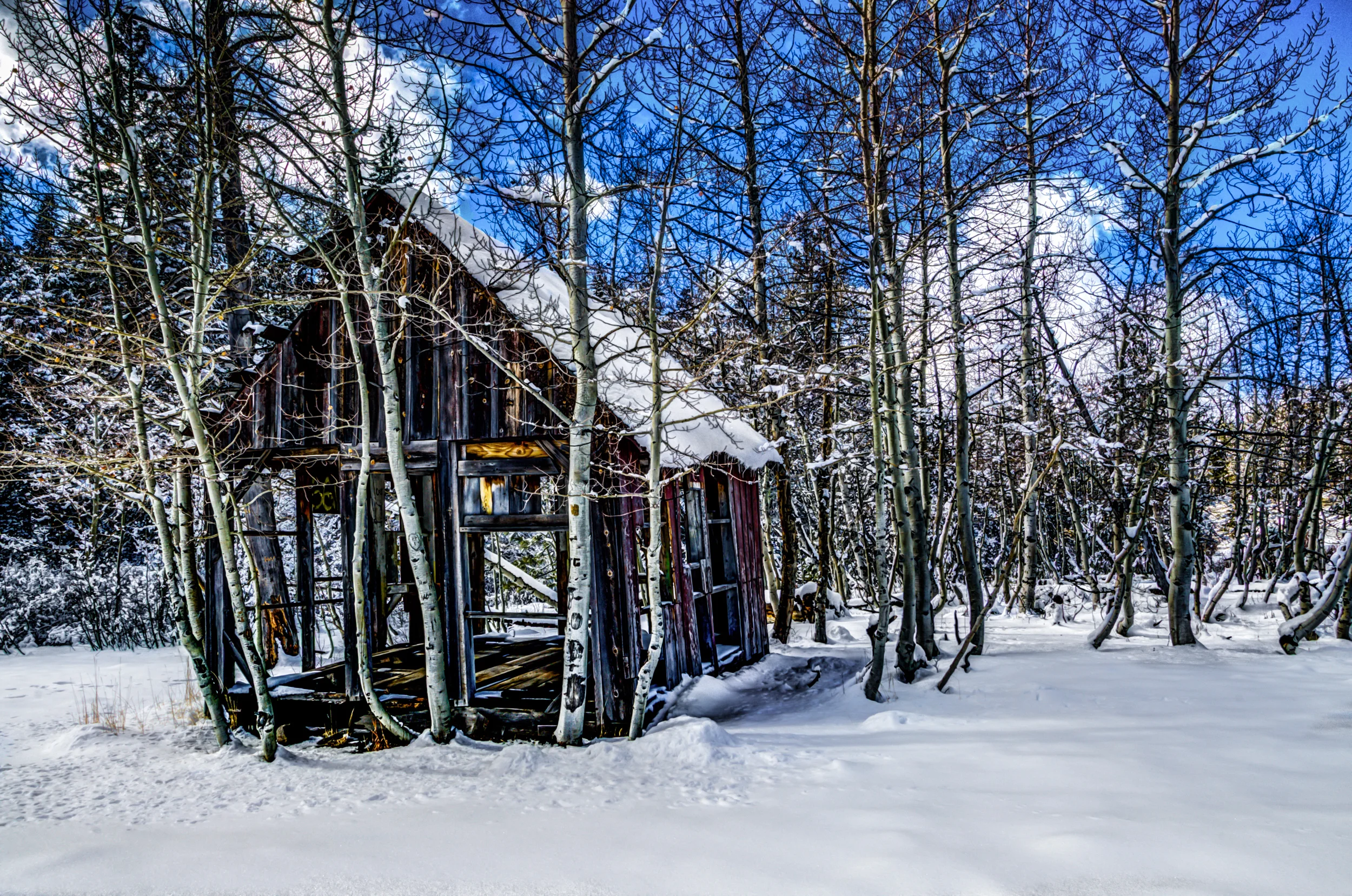 Shepards Cabin