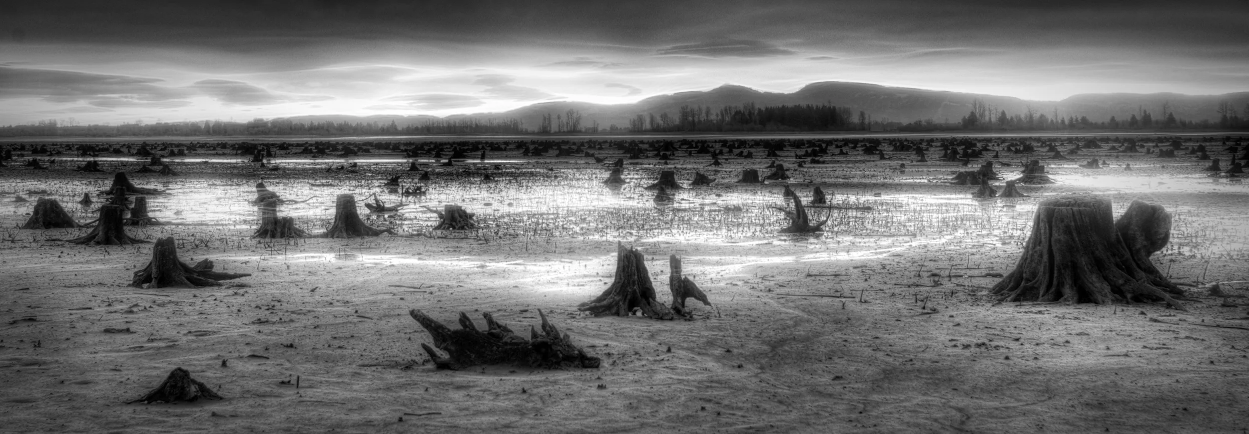 Eerie Remains-1.jpg