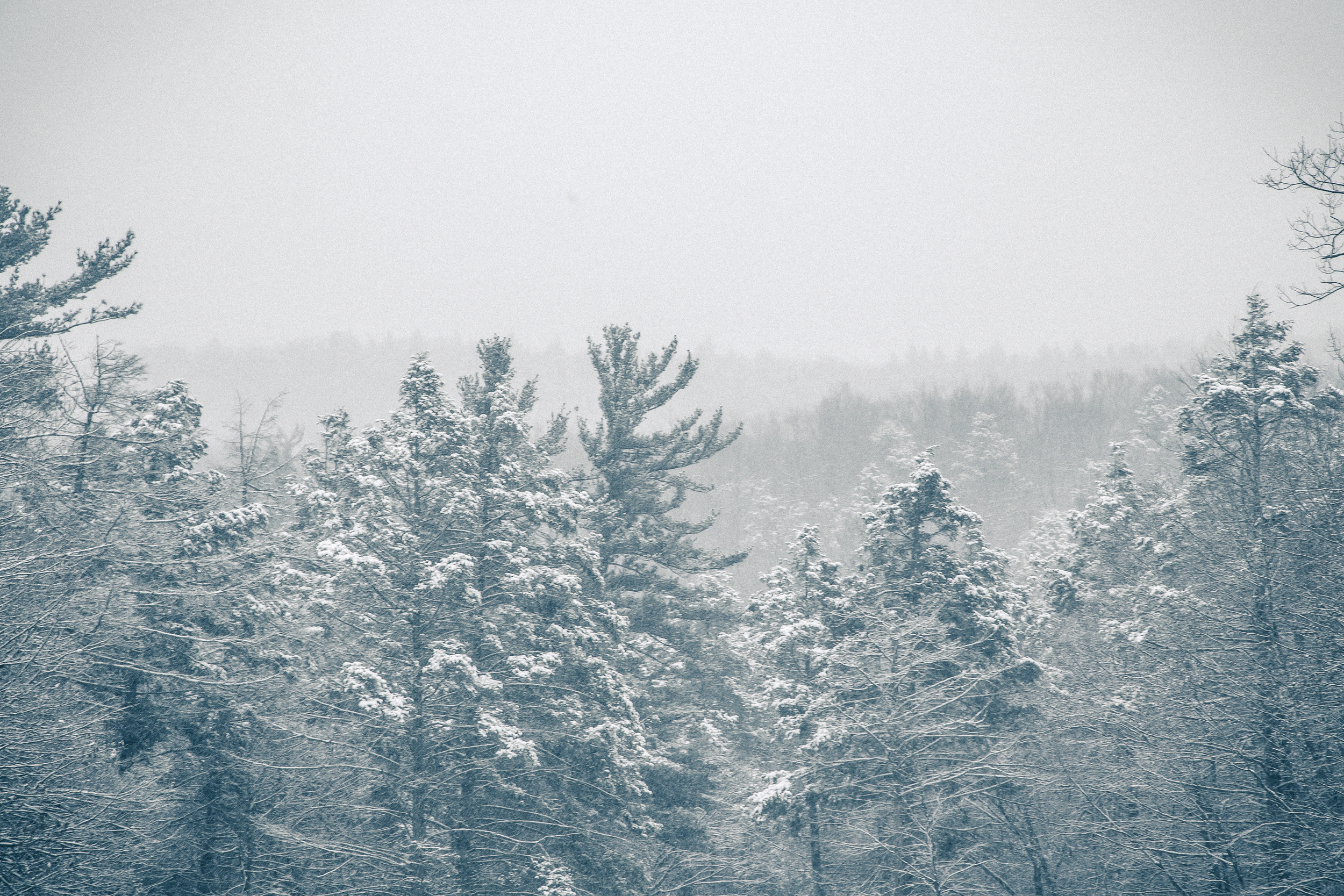 40 // 366 Beautiful fresh snow hike 