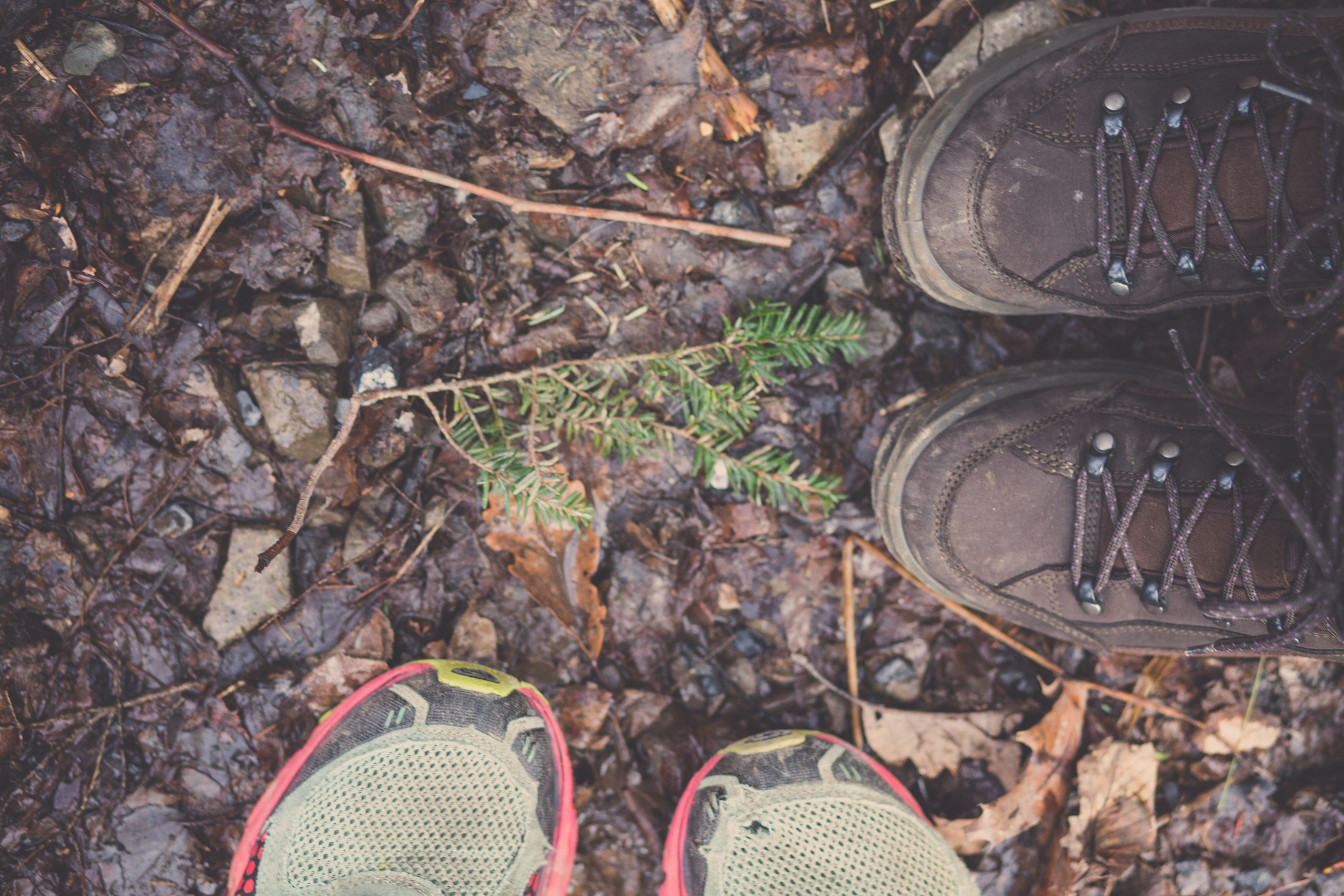 60 // 366 Hike with seester