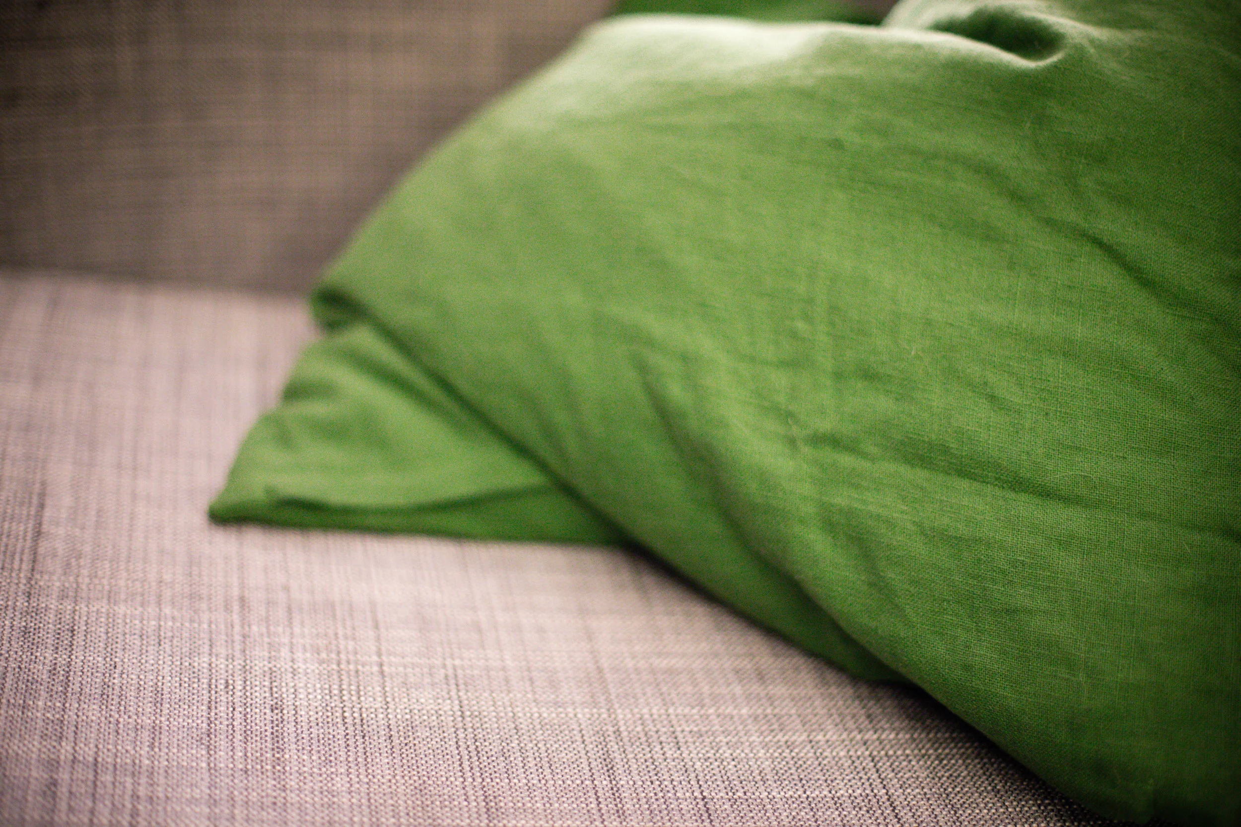 362 // 366 Cozy winter break