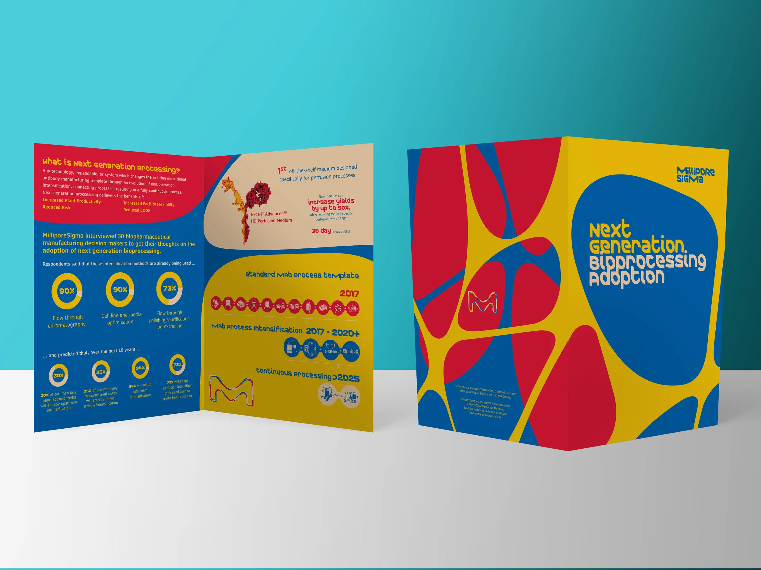 Half Fold Flyer Mockup 01.jpg