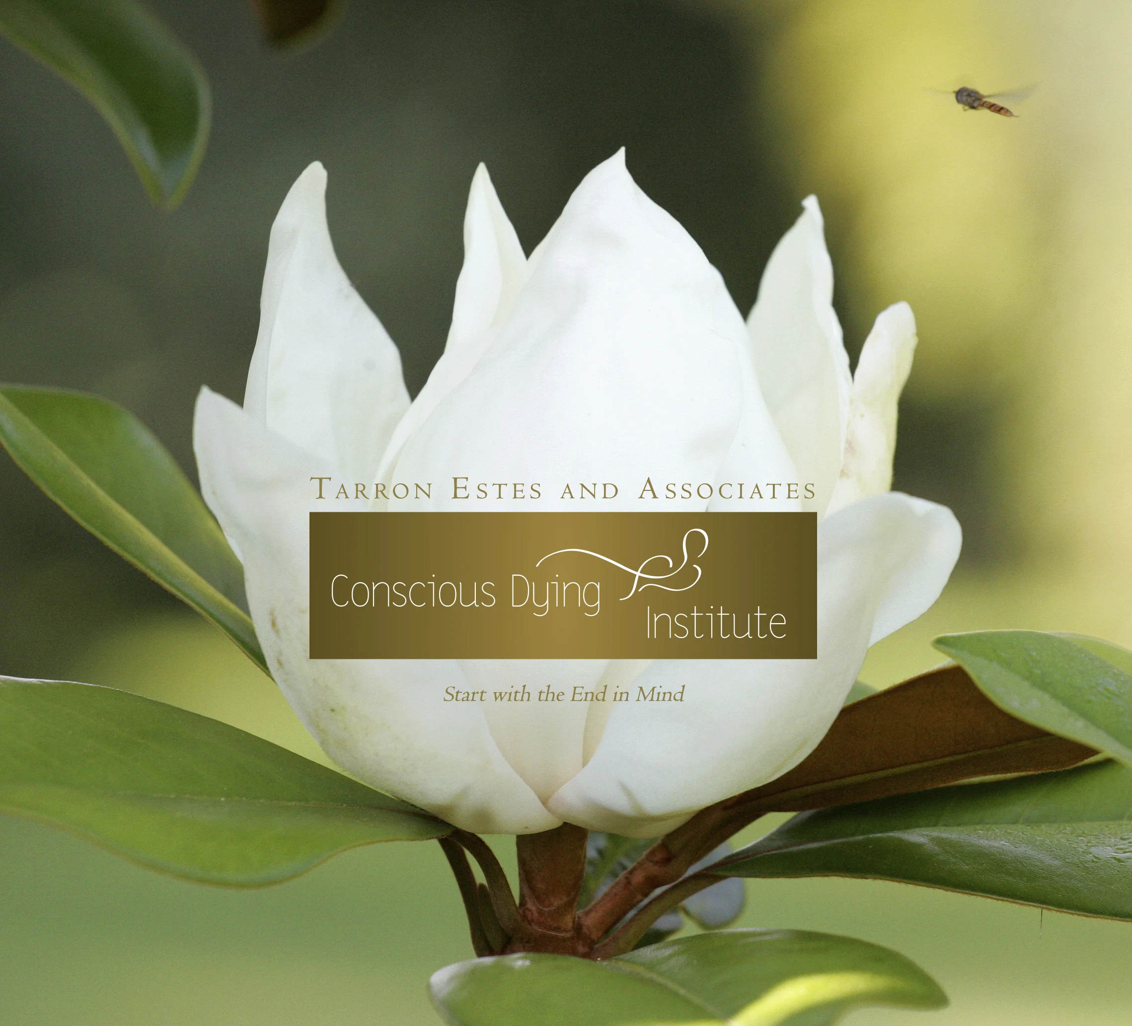 life care planner certification