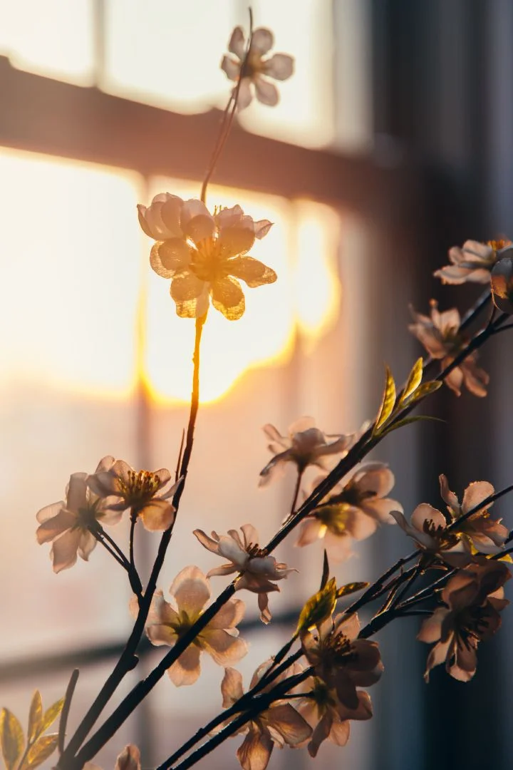 Working With Death Helps us Live Fully: Death Doula’s Caring Partnership