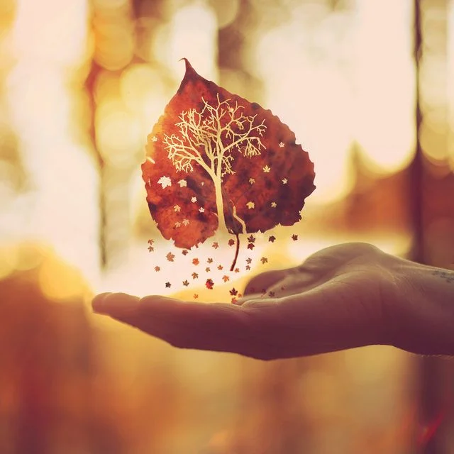 hand with tiny star like leaves floating.jpg