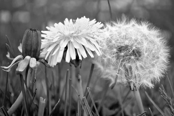 True Beauty: Looking Into the Bright Eyes of a Dying Patient 