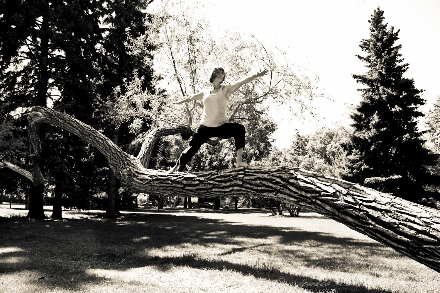 Hatha Wellness Yoga