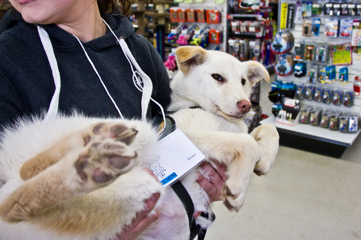 WANAR - We all Need a Rescue