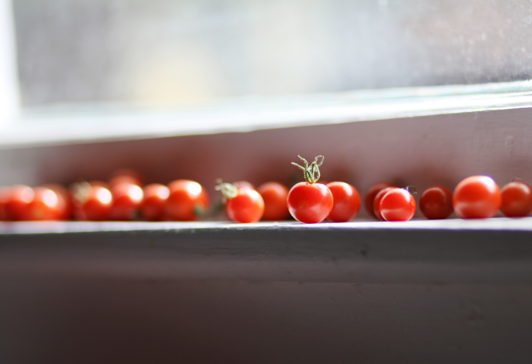Tomato.jpg