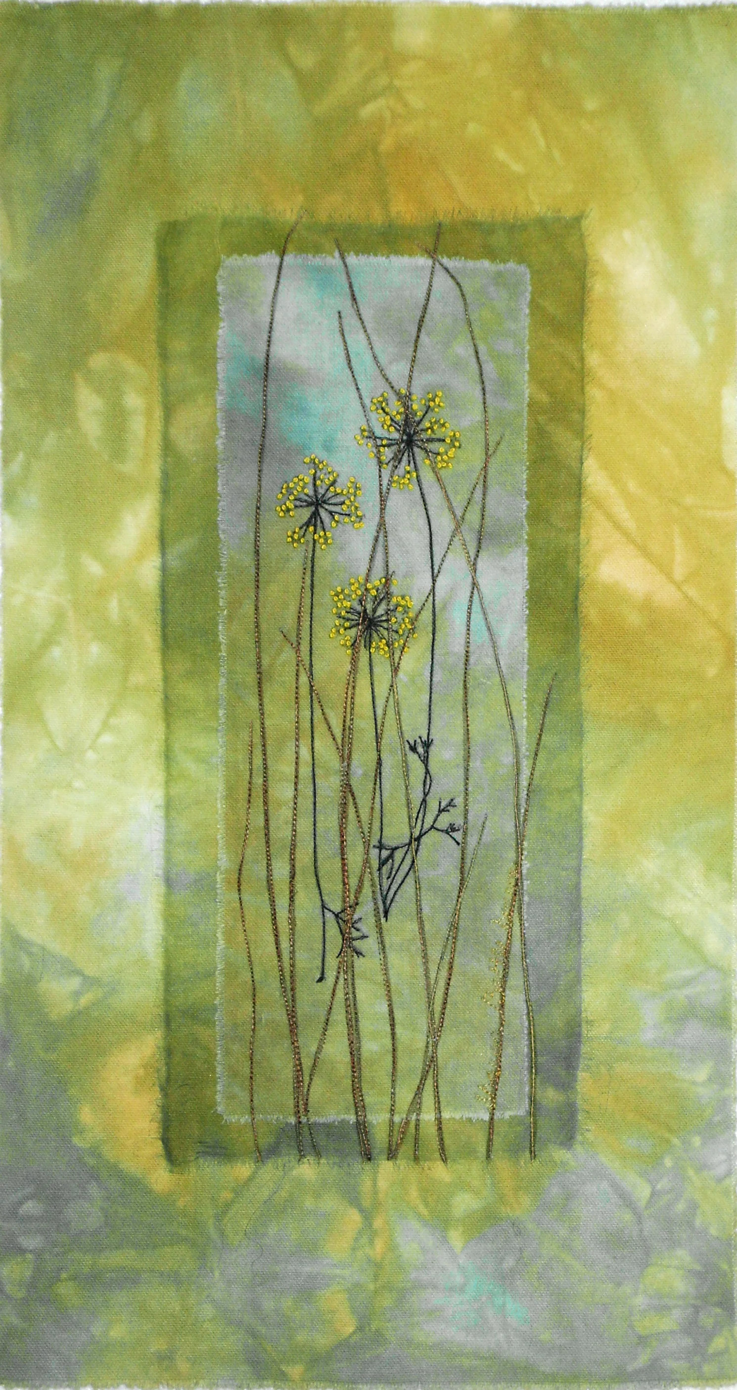 3 Yellow Queen Anns
