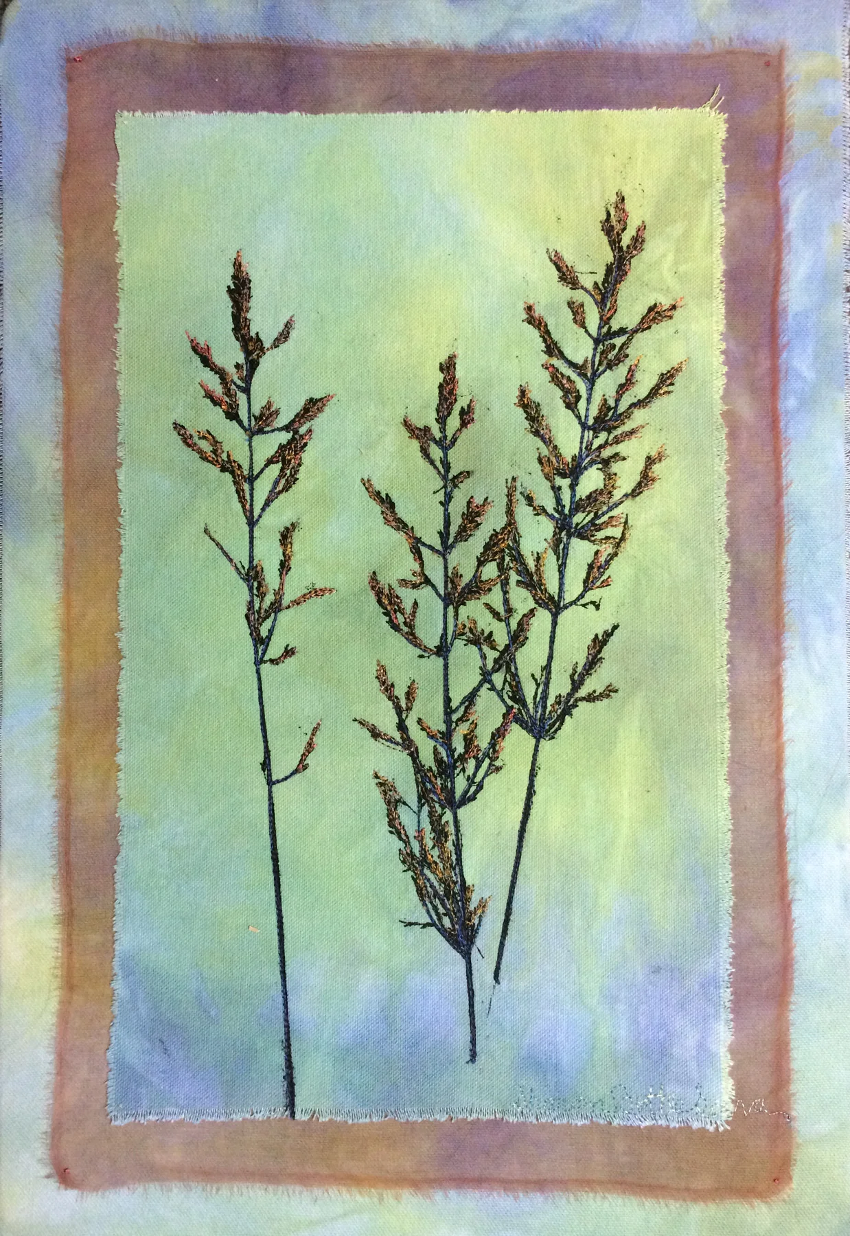 wild grasses.jpg