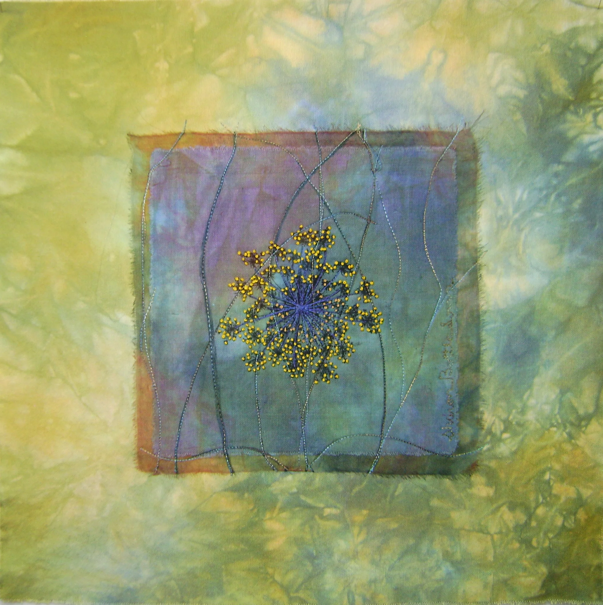 single yellow QA Lace.jpg