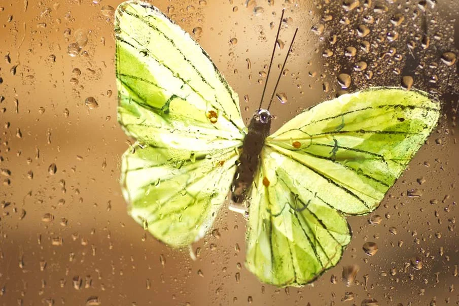 2016-17 Season Announced