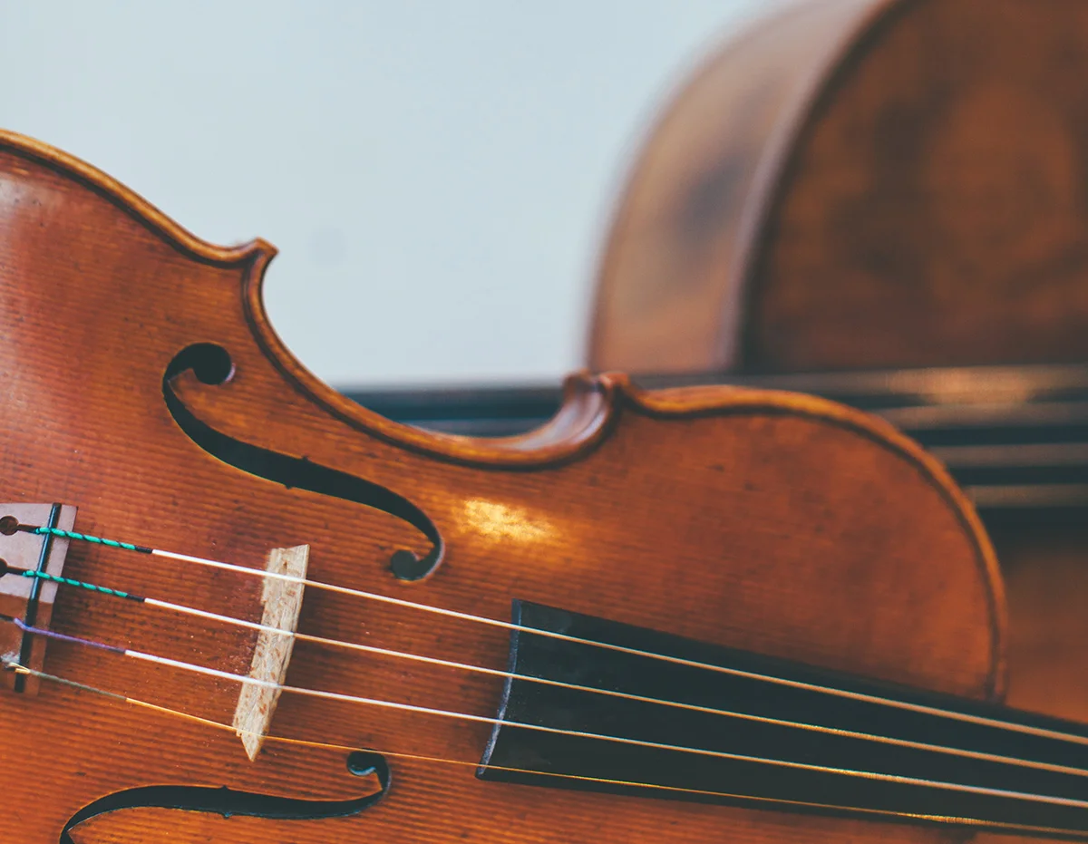 strings_viviansachs.jpg
