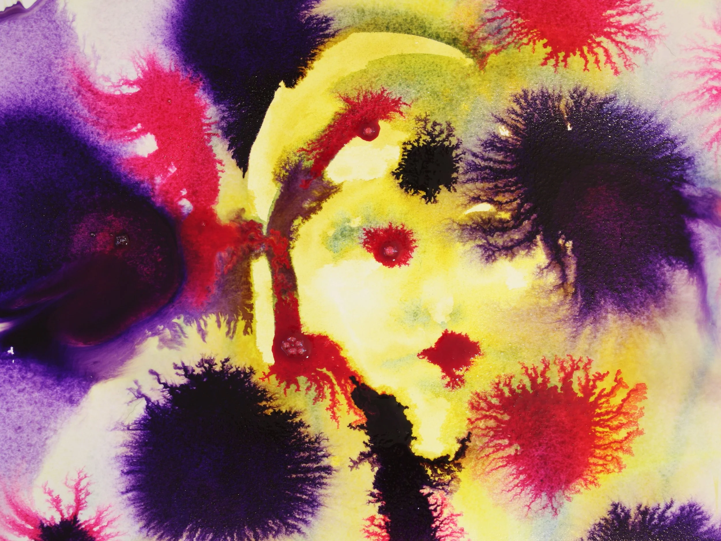 Image Exploring opera: “Tenderhooks"