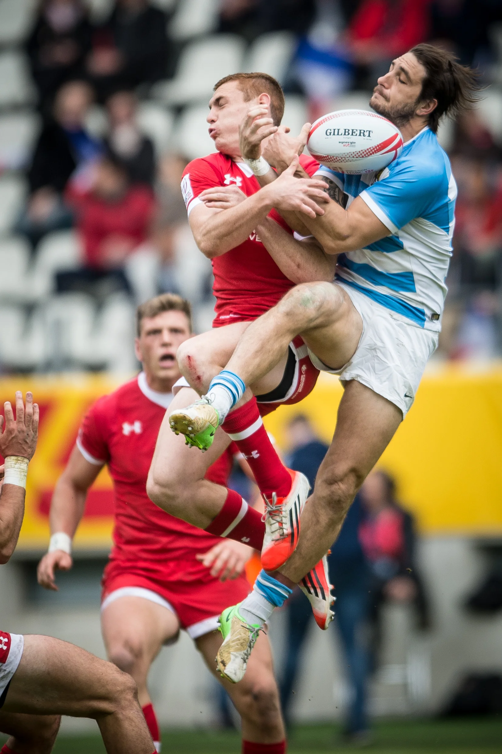 GALLES v ARGENTINE (2016)