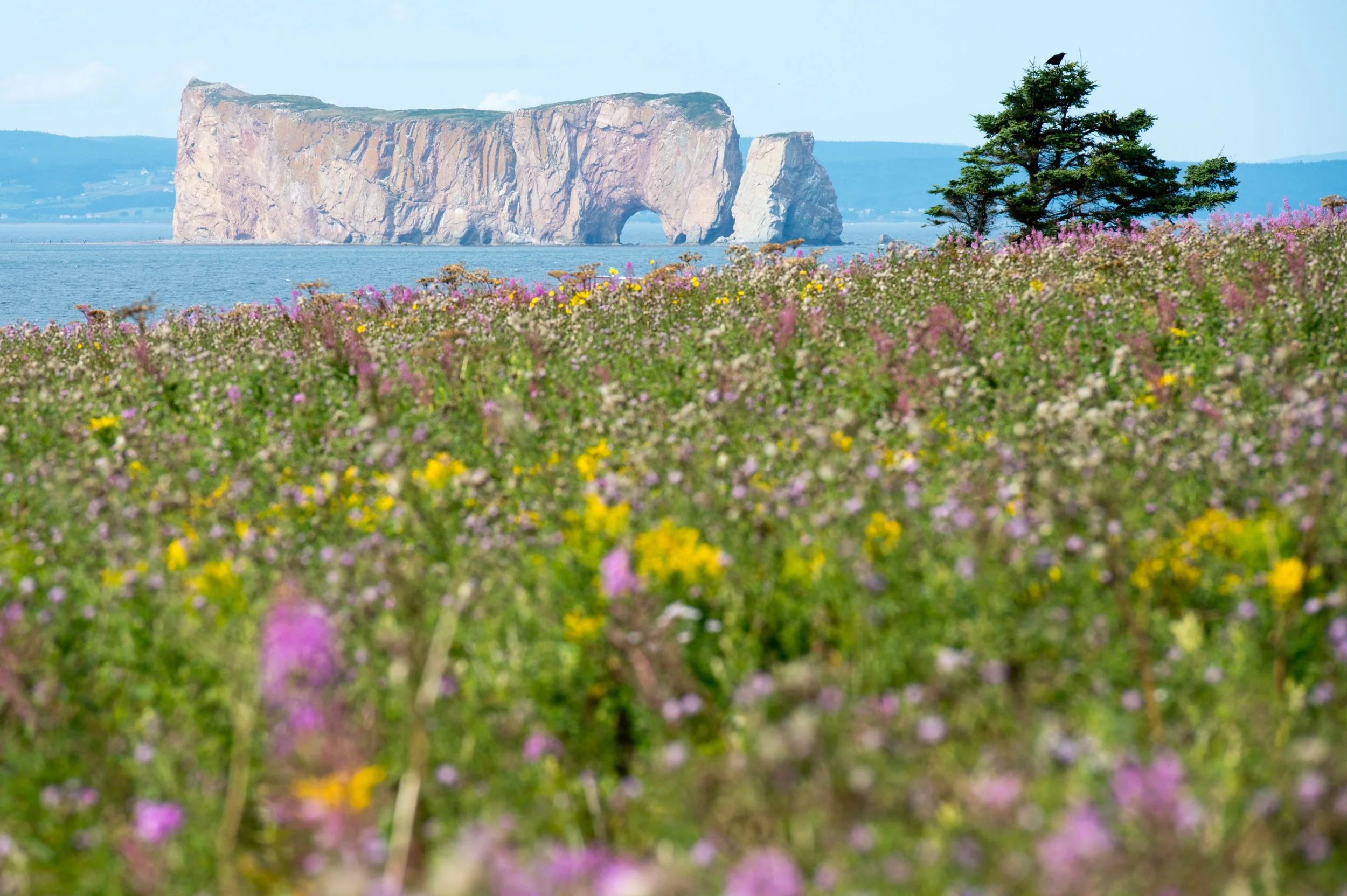 Precé - Quebec, Canada (2018)