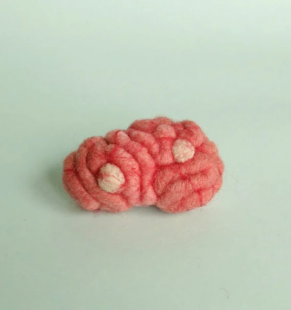 Brain With Hydatid Cysts