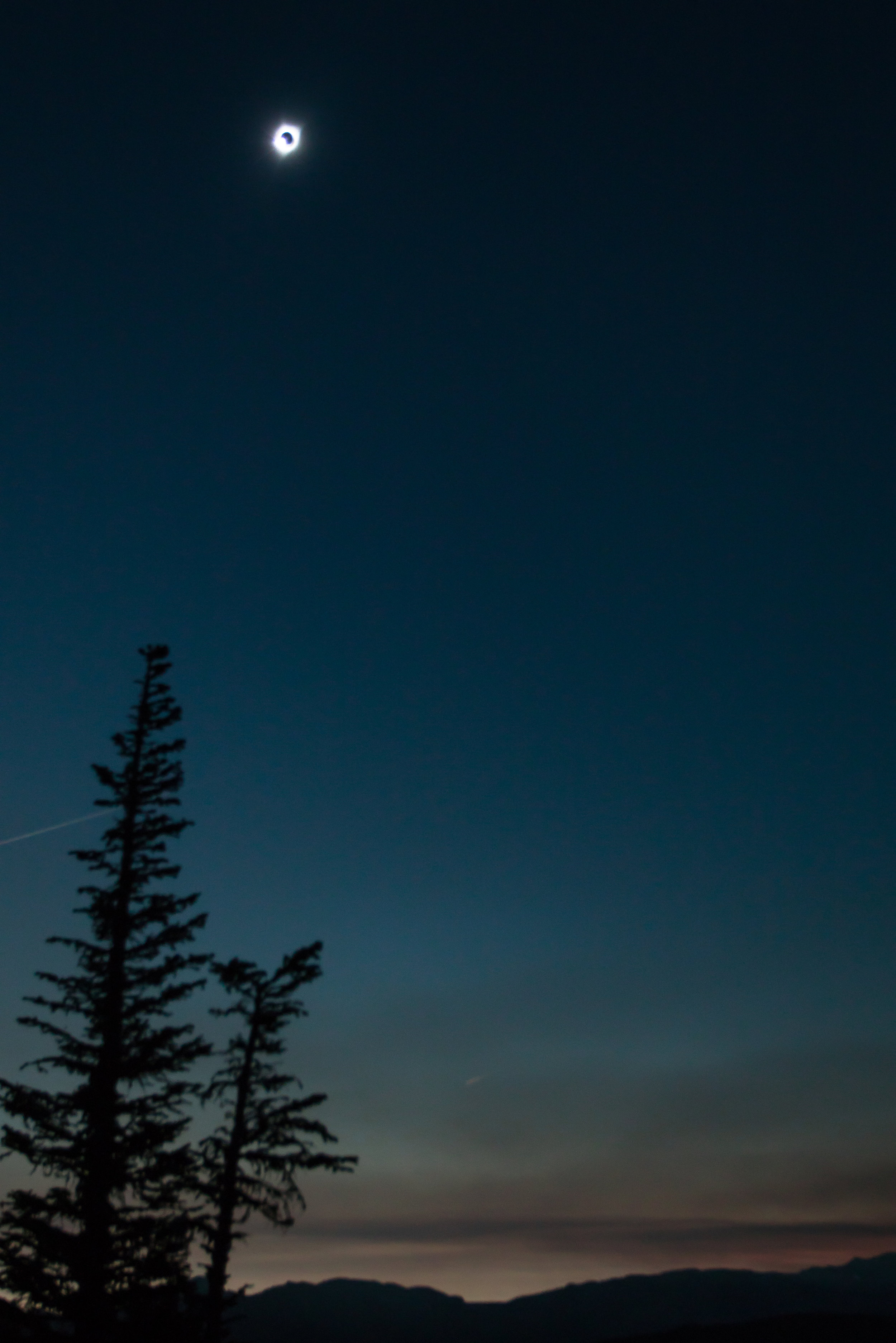 DSC09741.jpg