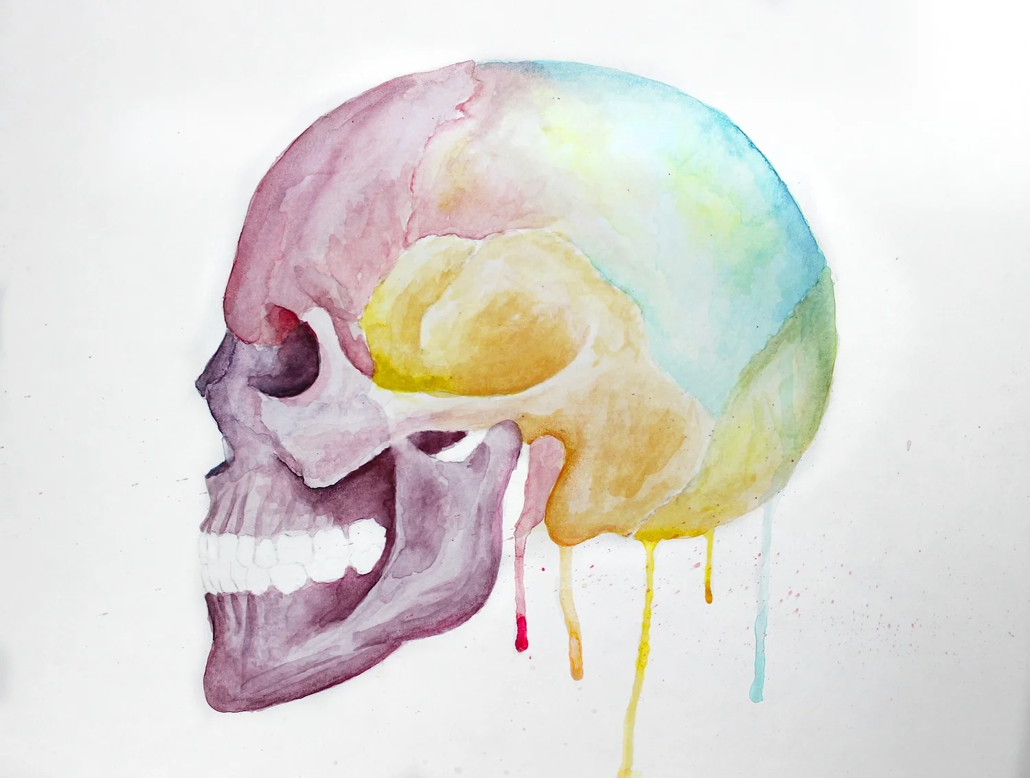 Watercolor Skull