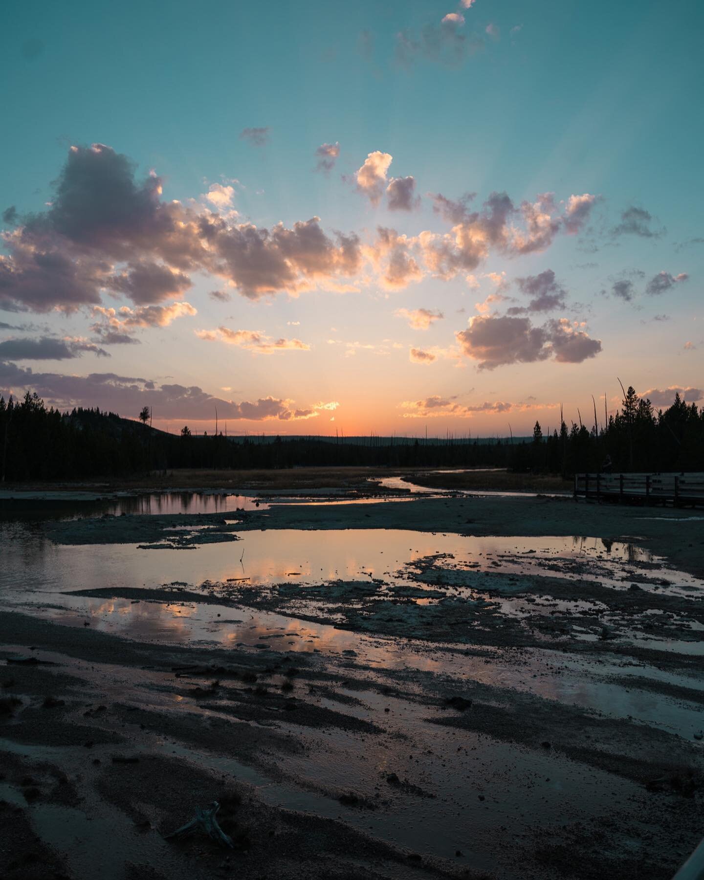 𝘛𝘩𝘪𝘴. 𝘑𝘶𝘴𝘵 𝘭𝘰𝘰𝘬 𝘢𝘵 𝘵𝘩𝘪𝘴. 🌅
We couldn&rsquo;t have asked for a better end to our first day in Yellowstone. It was also nice to learn that if you don&rsquo;t mind being out until sunset, it&rsquo;s really a great way to see some of t