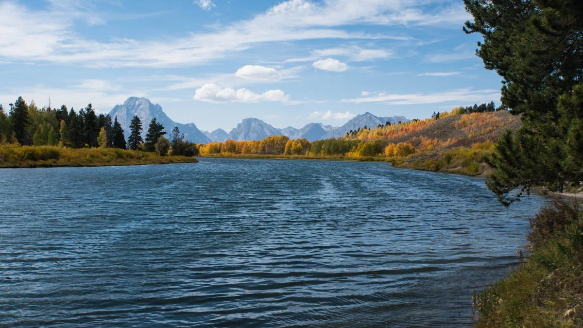 The Snake River, Oxbow Bend.